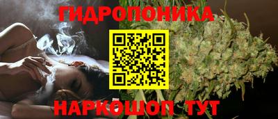 соль курить ск Гай