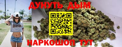 МДПВ Гатчина