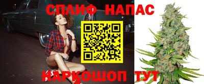 МДПВ Гатчина